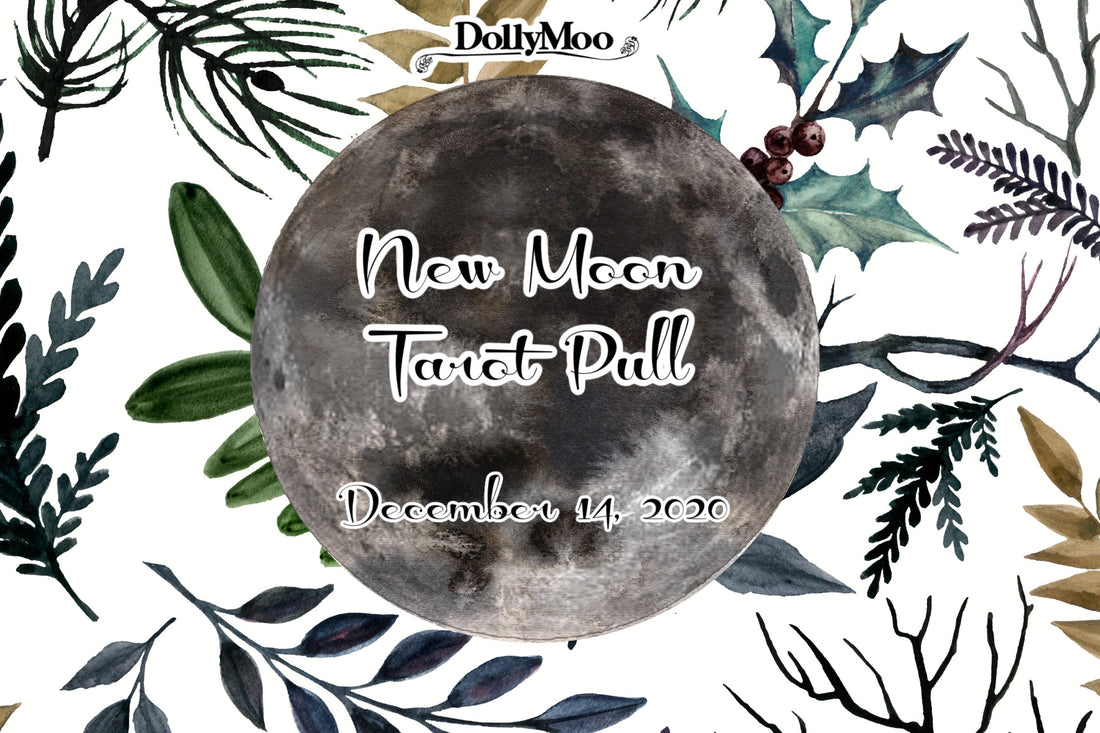 New Moon Tarot Pull!