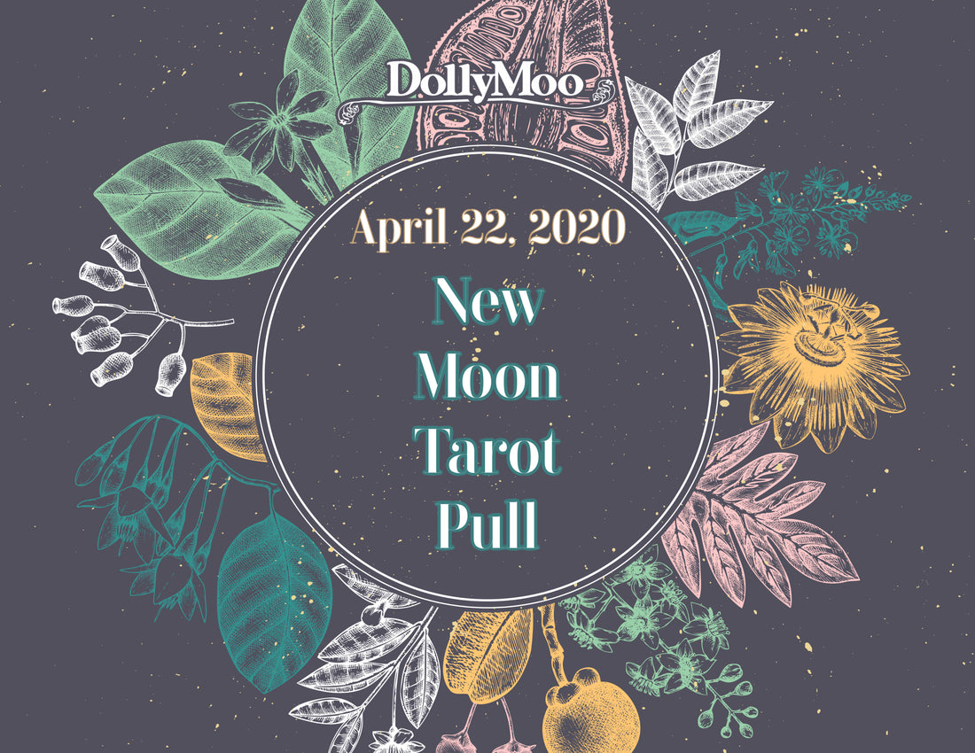 New Moon Tarot Pull!
