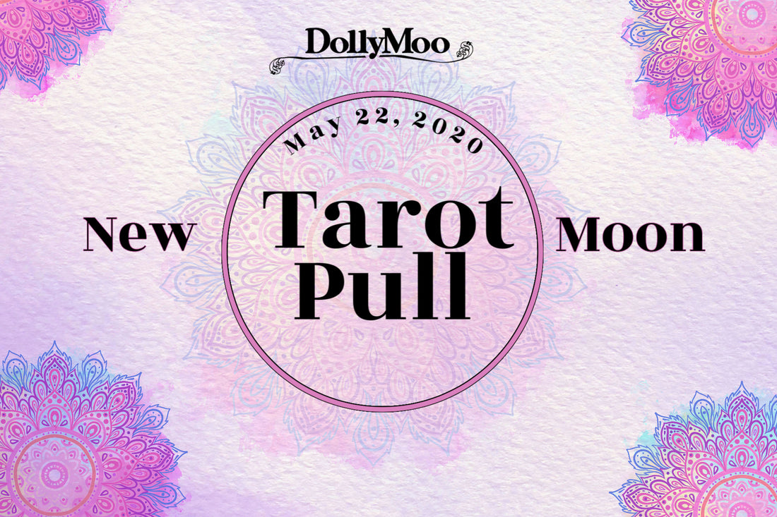 New Moon Tarot Pull!
