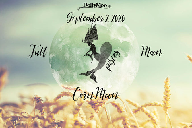 Over the Moo-n! Corn Moon...