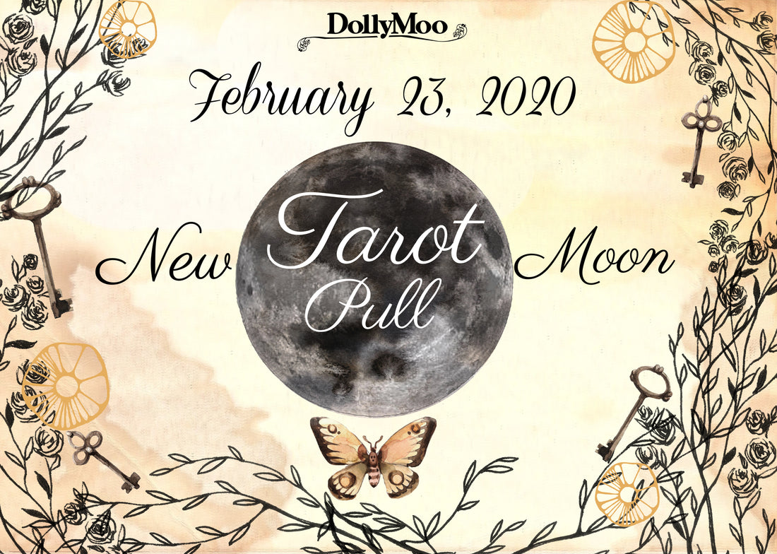 NEW MOON TAROT PULL!