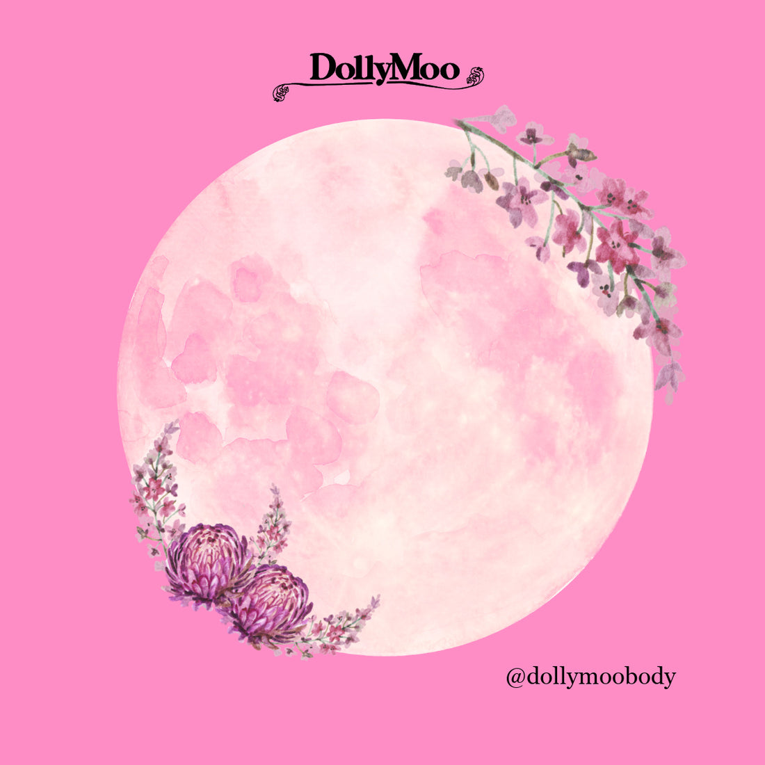 Over the Moo-n! Pink Moon...