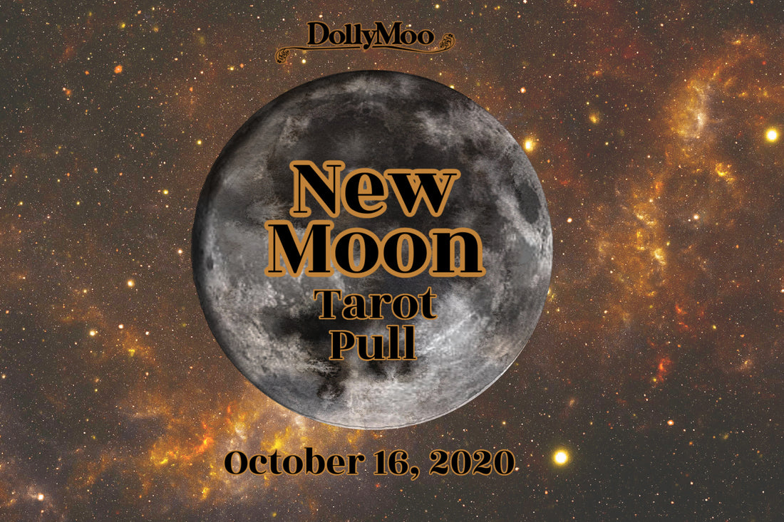 New Moon Tarot Pull!
