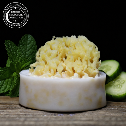 Cucumber Mint Sea Sponge Soap
