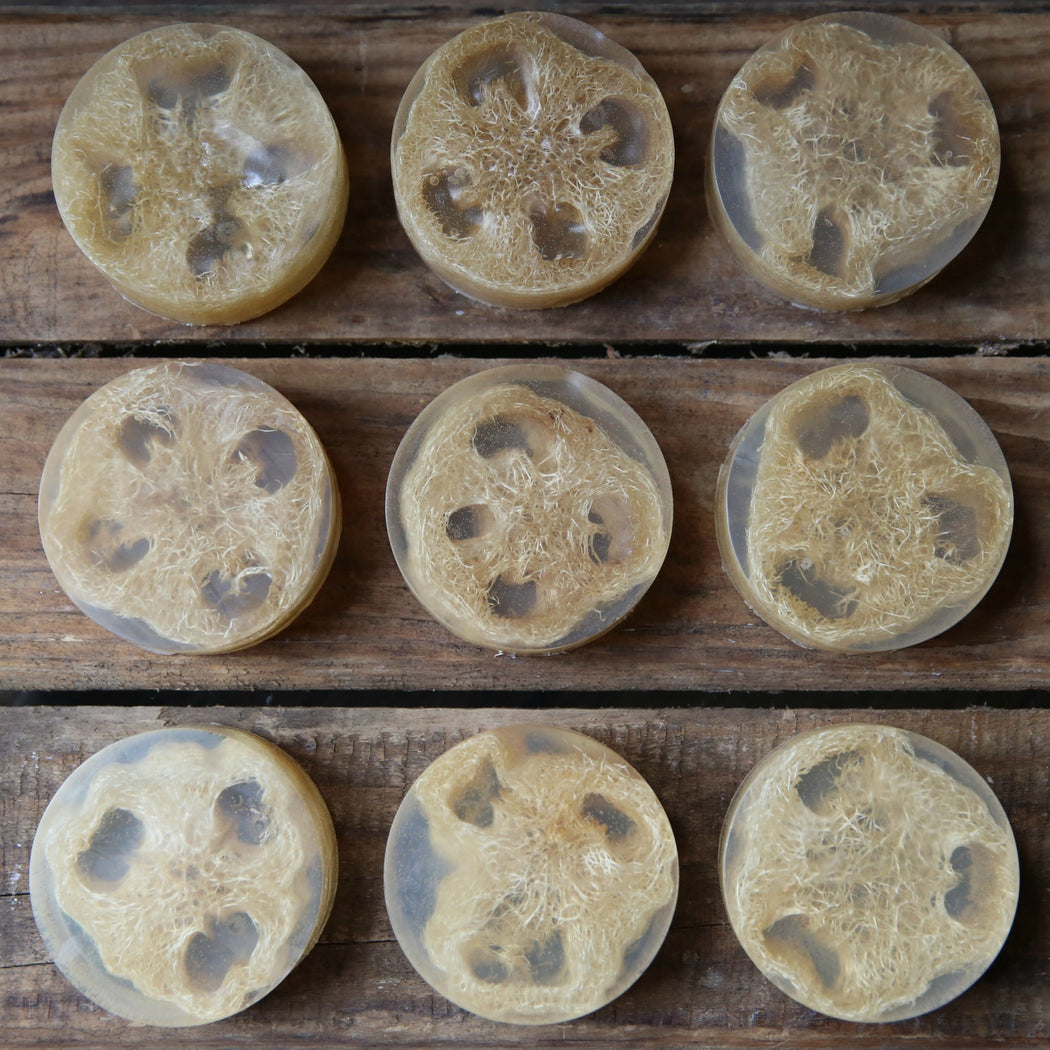 Exfoliating Olive Oil Aloe Loofah Soaps