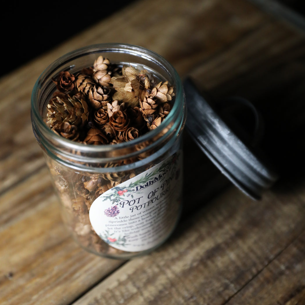 Pot of Pine Potpourri