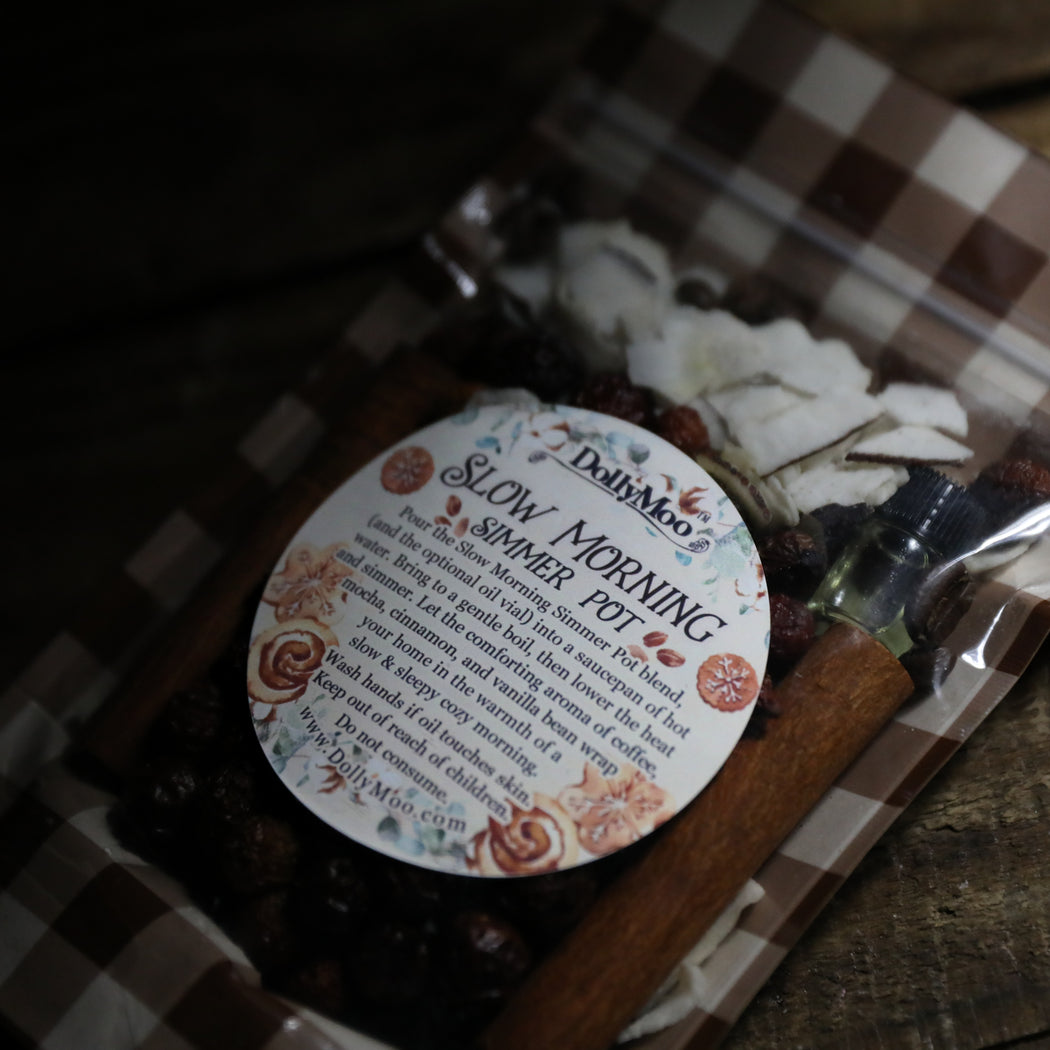 Slow Morning Simmer Pot