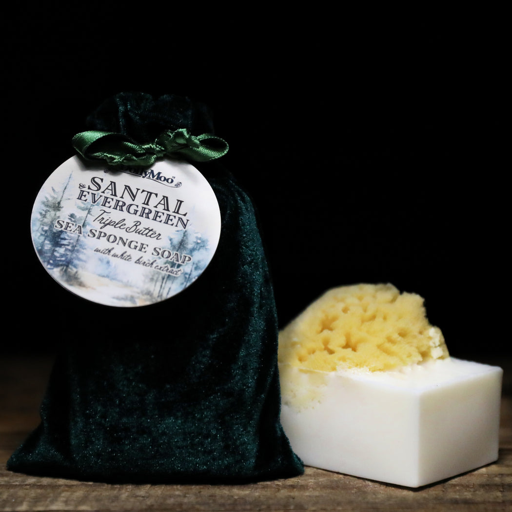 Santal & Evergreen Sea Sponge Soap