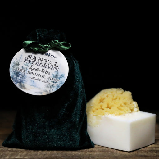 Santal & Evergreen Sea Sponge Soap