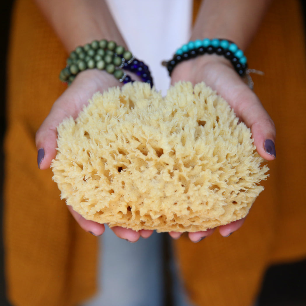 Natural Sea Sponge