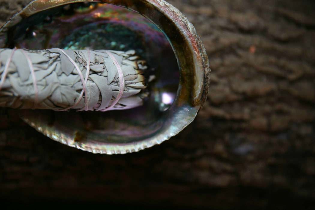 Abalone Smudging Shell