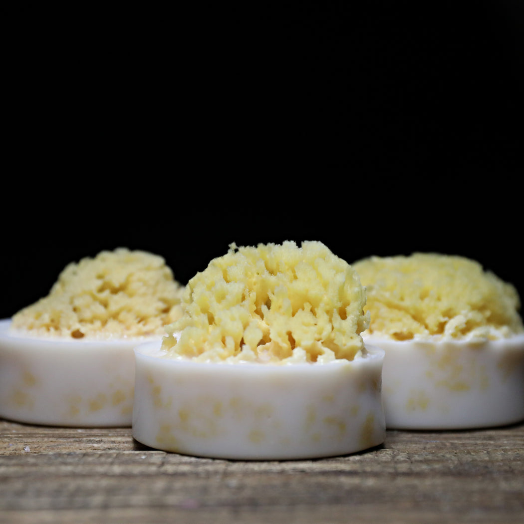 Agave Sea Sponge Soap