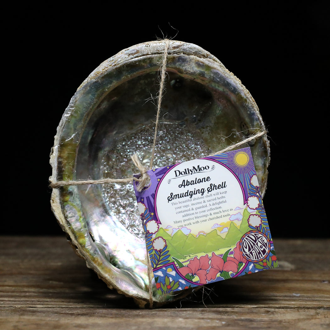 Abalone Smudging Shell