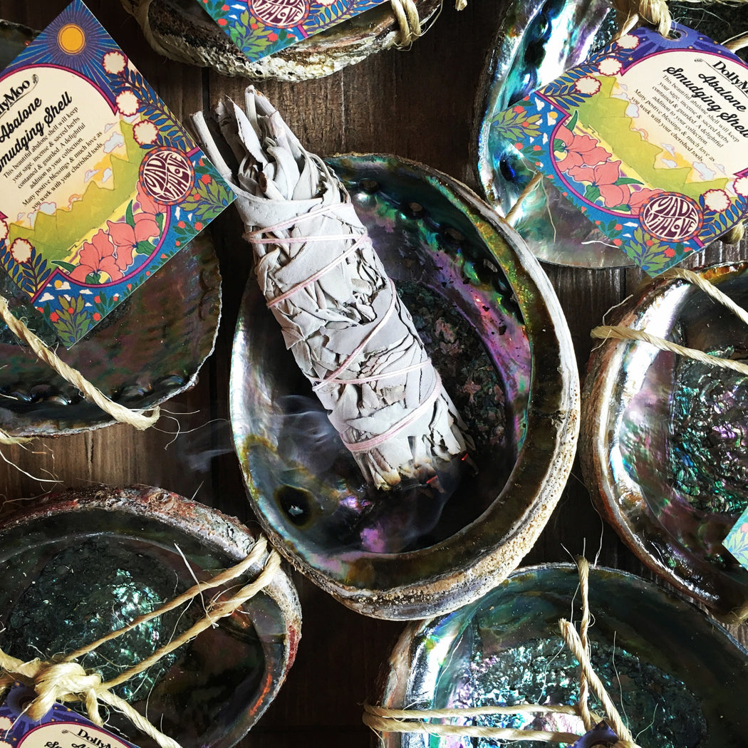 Abalone Smudging Shell